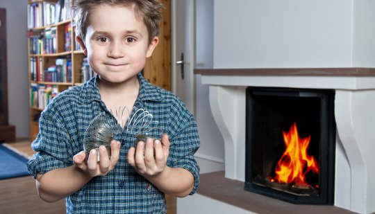 Schornsteinsysteme für jeden Einsatz